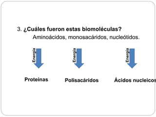 3. ¿Cuáles fueron estas biomoléculas?
Aminoácidos, monosacáridos, nucleótidos.
Proteínas Polisacáridos Ácidos nucleicos
Energía
Energía
Energía
 