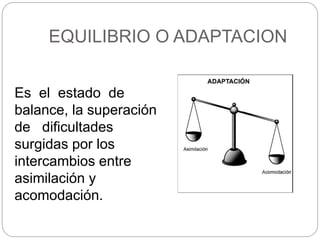 EQUILIBRIO O ADAPTACION
Es el estado de
balance, la superación
de dificultades
surgidas por los
intercambios entre
asimilación y
acomodación.
 
