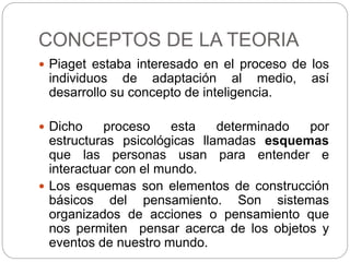 CONCEPTOS DE LA TEORIA
 Piaget estaba interesado en el proceso de los
individuos de adaptación al medio, así
desarrollo su concepto de inteligencia.
 Dicho proceso esta determinado por
estructuras psicológicas llamadas esquemas
que las personas usan para entender e
interactuar con el mundo.
 Los esquemas son elementos de construcción
básicos del pensamiento. Son sistemas
organizados de acciones o pensamiento que
nos permiten pensar acerca de los objetos y
eventos de nuestro mundo.
 