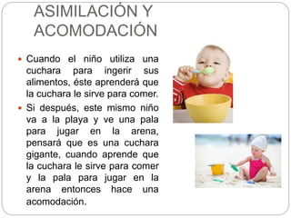 ASIMILACIÓN Y
ACOMODACIÓN
 Cuando el niño utiliza una
cuchara para ingerir sus
alimentos, éste aprenderá que
la cuchara le sirve para comer.
 Si después, este mismo niño
va a la playa y ve una pala
para jugar en la arena,
pensará que es una cuchara
gigante, cuando aprende que
la cuchara le sirve para comer
y la pala para jugar en la
arena entonces hace una
acomodación.
 