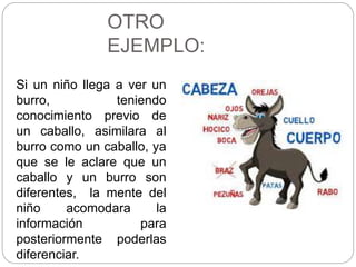 Si un niño llega a ver un
burro, teniendo
conocimiento previo de
un caballo, asimilara al
burro como un caballo, ya
que se le aclare que un
caballo y un burro son
diferentes, la mente del
niño acomodara la
información para
posteriormente poderlas
diferenciar.
OTRO
EJEMPLO:
 