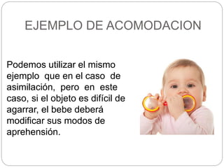 EJEMPLO DE ACOMODACION
Podemos utilizar el mismo
ejemplo que en el caso de
asimilación, pero en este
caso, si el objeto es difícil de
agarrar, el bebe deberá
modificar sus modos de
aprehensión.
 
