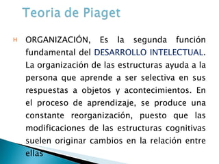 ORGANIZACIÓN, Es la segunda función fundamental del  DESARROLLO INTELECTUAL . La organización de las estructuras ayuda a la persona que aprende a ser selectiva en sus respuestas a objetos y acontecimientos. En el proceso de aprendizaje, se produce una constante reorganización, puesto que las modificaciones de las estructuras cognitivas suelen originar cambios en la relación entre ellas 