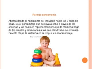 Período sensomotriz
Abarca desde el nacimiento del individuo hasta los 2 años de
edad. Es el aprendizaje que se lleva a cabo a través de los
sentidos y las posibles representaciones que la memoria haga
de los objetos y situaciones a las que el individuo se enfrenta.
En esta etapa la imitación es la respuesta al aprendizaje.
 