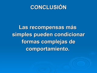 Las recompensas más  simples pueden condicionar formas complejas de  comportamiento.  CONCLUSIÓN 