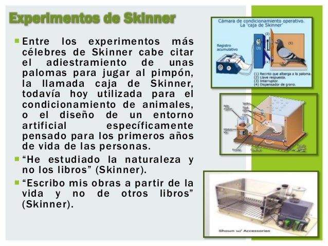 TEORÍA DEL CONDICIONAMIENTO OPERANTE (SKINNER)