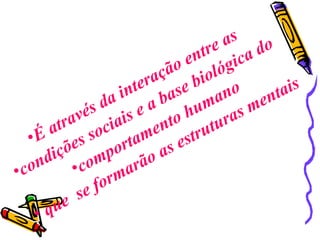 É através da interação entre as  condições sociais e a base biológica do  comportamento humano que  se formarão as estruturas mentais 