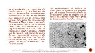 Teoria de Weissman | PDF