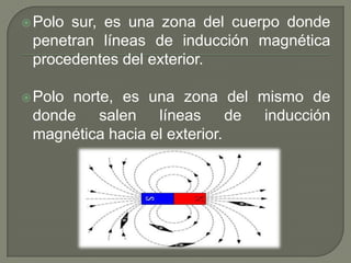  Polosur, es una zona del cuerpo donde
 penetran líneas de inducción magnética
 procedentes del exterior.

 Polonorte, es una zona del mismo de
 donde salen líneas de inducción
 magnética hacia el exterior.
 