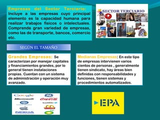 Empresas del Sector Terciario:
Incluye a las empresas cuyo principal
elemento es la capacidad humana para
realizar trabajos físicos o intelectuales.
Comprende gran variedad de empresas,
como las de transporte, bancos, comercio
etc.
SEGÚN EL TAMAÑO
Grandes Empresas: Se

Medianas Empresas: En este tipo

caracterizan por manejar capitales
y financiamientos grandes, por lo
general tienen instalaciones
propias. Cuentan con un sistema
de administración y operación muy
avanzado.

de empresas intervienen varios
cientos de personas , generalmente
tienen sindicato, hay áreas bien
definidas con responsabilidades y
funciones, tienen sistemas y
procedimientos automatizados. 

 