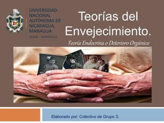 Teorías del
Envejecimiento.
Teoría Endocrina o Deterioro Orgánico
Elaborado por: Colectivo de Grupo 3.
 