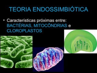 TEORIA ENDOSSIMBIÓTICA
• Características próximas entre:
BACTÉRIAS, MITOCÔNDRIAS e
CLOROPLASTOS