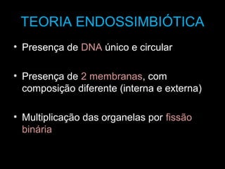TEORIA ENDOSSIMBIÓTICA
• Presença de DNA único e circular
• Presença de 2 membranas, com
composição diferente (interna e externa)
• Multiplicação das organelas por fissão
binária