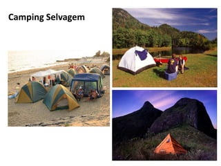 Camping Selvagem
 
