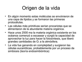 Origen de la vida
• En algún momento estas moléculas se envolvieron de
  una capa de lípidos y se formaron las primeras
  protocélulas.
• Las células más primitivas serían procariotas que se
  alimentaron de la abundante materia orgánica.
• Hace unos 2500 ma la materia orgánica existente en los
  océanos comenzó a escasear y surgió la capacidad de
  aprovechar la luz para hacer la fotosíntesis, que liberó
  grandes cantidades de O2 a la atmósfera.
• La vida fue ganando en complejidad y surgieron las
  células eucarióticas, probablemente por un proceso de
  simbiosis (teoría endosimbióntica)
 