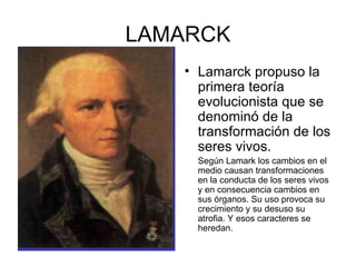 LAMARCK
   • Lamarck propuso la
     primera teoría
     evolucionista que se
     denominó de la
     transformación de los
     seres vivos.
     Según Lamark los cambios en el
     medio causan transformaciones
     en la conducta de los seres vivos
     y en consecuencia cambios en
     sus órganos. Su uso provoca su
     crecimiento y su desuso su
     atrofia. Y esos caracteres se
     heredan.
 