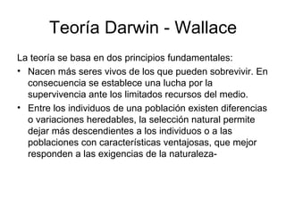 Teoría Darwin - Wallace
La teoría se basa en dos principios fundamentales:
• Nacen más seres vivos de los que pueden sobrevivir. En
  consecuencia se establece una lucha por la
  supervivencia ante los limitados recursos del medio.
• Entre los individuos de una población existen diferencias
  o variaciones heredables, la selección natural permite
  dejar más descendientes a los individuos o a las
  poblaciones con características ventajosas, que mejor
  responden a las exigencias de la naturaleza-
 