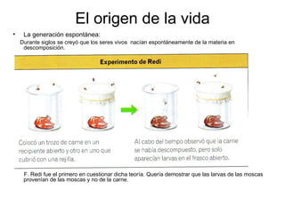El origen de la vida
•    La generación espontánea:
    Durante siglos se creyó que los seres vivos nacían espontáneamente de la materia en
     descomposición.




     F. Redi fue el primero en cuestionar dicha teoría. Quería demostrar que las larvas de las moscas
     provenían de las moscas y no de la carne.
 