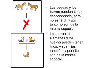 • Las yeguas y los
  burros pueden tener
  descendencia, pero
  no es fértil, y por
  tanto no son de la
  misma especie.
• Los pastores
  alemanes y los
  huskys pueden tener
  hijos, y sus hijos
  también, y por ello
  son de la misma
  especie.
 