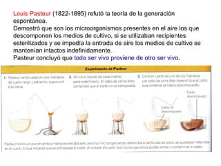 Louis Pasteur (1822-1895) refutó la teoría de la generación
espontánea.
Demostró que son los microorganismos presentes en el aire los que
descomponen los medios de cultivo, si se utilizaban recipientes
esterilizados y se impedía la entrada de aire los medios de cultivo se
mantenían intactos indefinidamente.
Pasteur concluyó que todo ser vivo proviene de otro ser vivo.
 