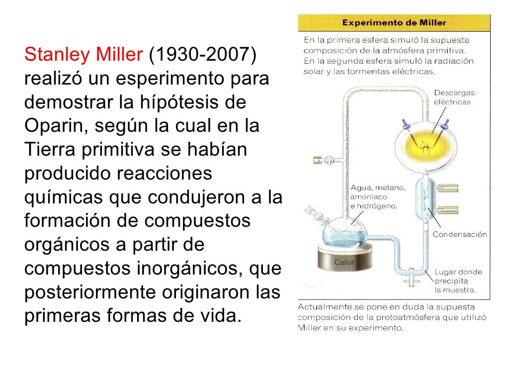 Bases de la teoria evolucionista_teorias