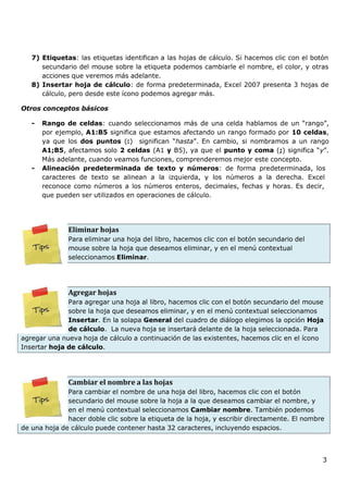 3
7) Etiquetas: las etiquetas identifican a las hojas de cálculo. Si hacemos clic con el botón
secundario del mouse sobre la etiqueta podemos cambiarle el nombre, el color, y otras
acciones que veremos más adelante.
8) Insertar hoja de cálculo: de forma predeterminada, Excel 2007 presenta 3 hojas de
cálculo, pero desde este ícono podemos agregar más.
Otros conceptos básicos
- Rango de celdas: cuando seleccionamos más de una celda hablamos de un “rango”,
por ejemplo, A1:B5 significa que estamos afectando un rango formado por 10 celdas,
ya que los dos puntos (:) significan “hasta”. En cambio, si nombramos a un rango
A1;B5, afectamos solo 2 celdas (A1 y B5), ya que el punto y coma (;) significa “y”.
Más adelante, cuando veamos funciones, comprenderemos mejor este concepto.
- Alineación predeterminada de texto y números: de forma predeterminada, los
caracteres de texto se alinean a la izquierda, y los números a la derecha. Excel
reconoce como números a los números enteros, decimales, fechas y horas. Es decir,
que pueden ser utilizados en operaciones de cálculo.
Eliminar hojas
Para eliminar una hoja del libro, hacemos clic con el botón secundario del
mouse sobre la hoja que deseamos eliminar, y en el menú contextual
seleccionamos Eliminar.
Agregar hojas
Para agregar una hoja al libro, hacemos clic con el botón secundario del mouse
sobre la hoja que deseamos eliminar, y en el menú contextual seleccionamos
Insertar. En la solapa General del cuadro de diálogo elegimos la opción Hoja
de cálculo. La nueva hoja se insertará delante de la hoja seleccionada. Para
agregar una nueva hoja de cálculo a continuación de las existentes, hacemos clic en el ícono
Insertar hoja de cálculo.
Cambiar el nombre a las hojas
Para cambiar el nombre de una hoja del libro, hacemos clic con el botón
secundario del mouse sobre la hoja a la que deseamos cambiar el nombre, y
en el menú contextual seleccionamos Cambiar nombre. También podemos
hacer doble clic sobre la etiqueta de la hoja, y escribir directamente. El nombre
de una hoja de cálculo puede contener hasta 32 caracteres, incluyendo espacios.
 