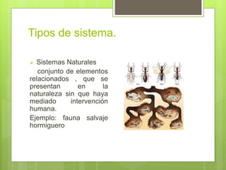 Tipos de sistema.
 Sistemas Naturales
conjunto de elementos
relacionados , que se
presentan en la
naturaleza sin que haya
mediado intervención
humana.
Ejemplo: fauna salvaje
hormiguero
 