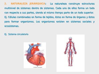 2.    NATURALEZA JERÁRQUICA:          La naturaleza construye estructuras
multinivel de sistemas dentro de sistemas. Cada uno de ellos forma un todo
con respecto a sus partes, siendo al mismo tiempo parte de un todo superior.
Ej. Células combinadas en forma de tejidos, éstos en forma de órganos y éstos
para formar organismos. Los organismos existen en sistemas sociales y
ecosistemas.


Ej. Sistema circulatorio
 