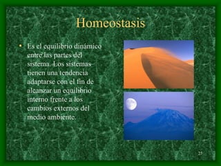 25
Homeostasis
• Es el equilibrio dinámico
entre las partes del
sistema. Los sistemas
tienen una tendencia
adaptarse con el fin de
alcanzar un equilibrio
interno frente a los
cambios externos del
medio ambiente.
 