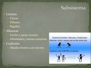  Límites
 Claros
 Difusos
 Rígidos
 Alianzas
 Unión y apoyo mutuo
 Afinidades y metas comunes
 Coalición
 Aliados frente a un tercero
 