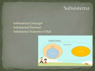  Subsistema Conyugal
 Subsistema Parental
 Subsistema Fraterno o Filial
 