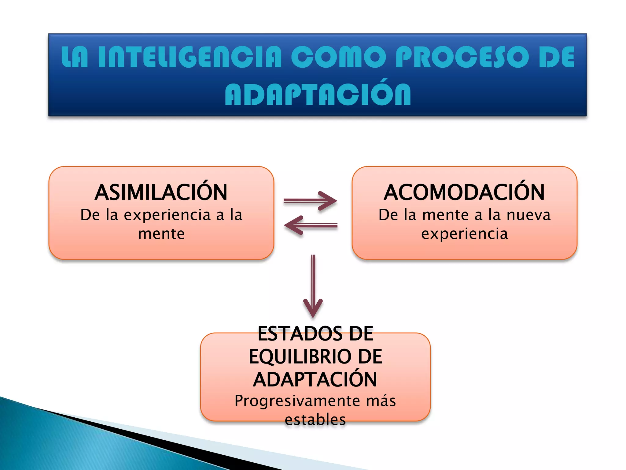 Teoria genetica de jean piaget