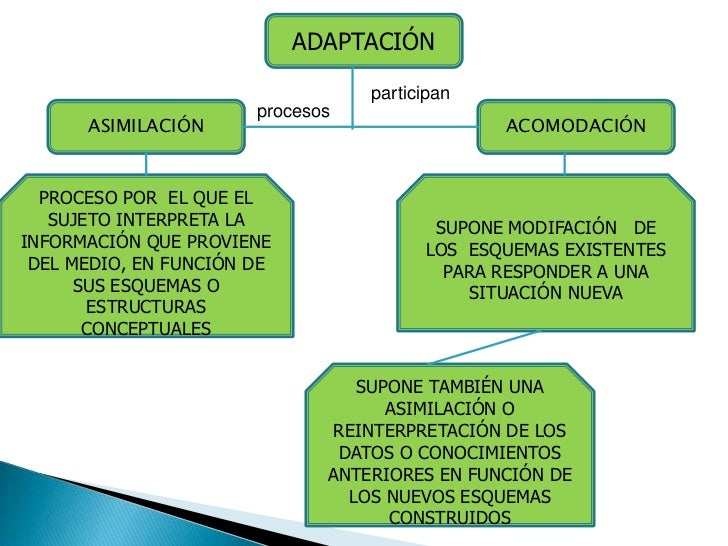 conversations with jean piaget pdf