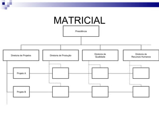 MATRICIAL
                                                Presidência




                                                              Diretoria de      Diretoria de
Diretoria de Projetos   Diretoria de Produção
                                                              Qualidade      Recursos Humanos




      Projeto A




      Projeto B
 