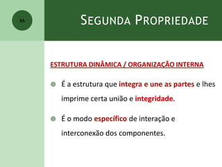 SEGUNDA PROPRIEDADE
ESTRUTURA DINÂMICA / ORGANIZAÇÃO INTERNA
 É a estrutura que integra e une as partes e lhes
imprime certa união e integridade.
 É o modo específico de interação e
interconexão dos componentes.
66
 