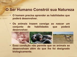 O Ser Humano Constrói sua Natureza 
• O homem precisa aprender as habilidades que 
poderá desenvolver. 
• Os animais trazem consigo ao nascer um 
conjunto de habilidades que poderá 
desenvolver. 
• Essa condição não permite que os animais se 
desenvolvam além do que lhe foi designado 
biologicamente. 
 