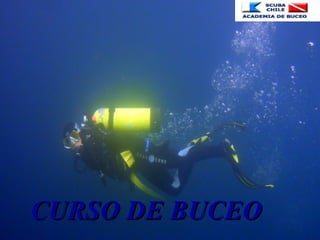 CURSO DE BUCEOCURSO DE BUCEO
 