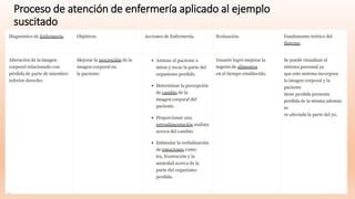 Proceso de atención de enfermería aplicado al ejemplo
suscitado
 