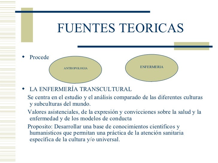 Teoria de leininger_teoria_online