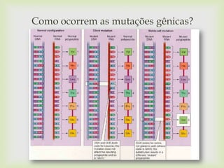 Como ocorrem as mutações gênicas?



 