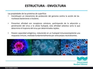 Las propiedades de las proteínas de superficie:
• Constituyen un mecanismo de protección del genoma contra la acción de las
nucleasas bacterianas o tisulares.
• Presentan afinidad con receptores celulares, participando de la adsorción y
penetración del virus a la célula huésped, esta afinidad selectiva sería la que
determine el tropismo del virus por determinados tejidos.
• Poseen capacidad antigénica, induciendo en un huésped inmunocompetente una
respuesta inmune, mediada fundamentalmente por anticuerpos neutralizantes.
ESTRUCTURA - ENVOLTURA
 