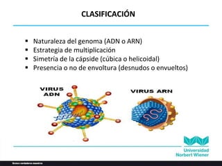  Naturaleza del genoma (ADN o ARN)
 Estrategia de multiplicación
 Simetría de la cápside (cúbica o helicoidal)
 Presencia o no de envoltura (desnudos o envueltos)
CLASIFICACIÓN
 