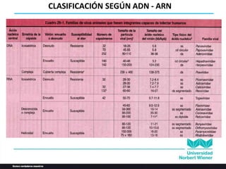 CLASIFICACIÓN SEGÚN ADN - ARN
 