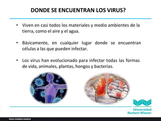 • Viven en casi todos los materiales y medio ambientes de la
tierra, como el aire y el agua.
• Básicamente, en cualquier lugar donde se encuentran
células a las que pueden infectar.
• Los virus han evolucionado para infectar todas las formas
de vida, animales, plantas, hongos y bacterias.
DONDE SE ENCUENTRAN LOS VIRUS?
 