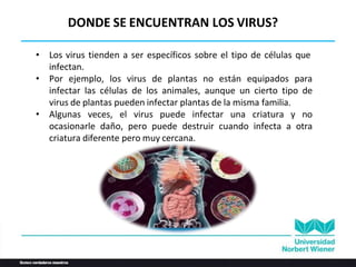 • Los virus tienden a ser específicos sobre el tipo de células que
infectan.
• Por ejemplo, los virus de plantas no están equipados para
infectar las células de los animales, aunque un cierto tipo de
virus de plantas pueden infectar plantas de la misma familia.
• Algunas veces, el virus puede infectar una criatura y no
ocasionarle daño, pero puede destruir cuando infecta a otra
criatura diferente pero muy cercana.
DONDE SE ENCUENTRAN LOS VIRUS?
 