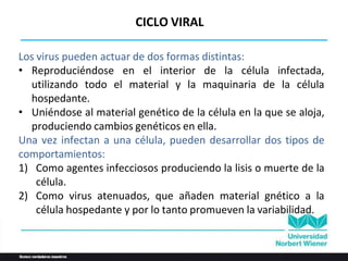 Los virus pueden actuar de dos formas distintas:
• Reproduciéndose en el interior de la célula infectada,
utilizando todo el material y la maquinaria de la célula
hospedante.
• Uniéndose al material genético de la célula en la que se aloja,
produciendo cambios genéticos en ella.
Una vez infectan a una célula, pueden desarrollar dos tipos de
comportamientos:
1) Como agentes infecciosos produciendo la lisis o muerte de la
célula.
2) Como virus atenuados, que añaden material gnético a la
célula hospedante y por lo tanto promueven la variabilidad.
CICLO VIRAL
 