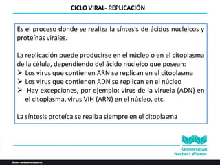 Es el proceso donde se realiza la síntesis de ácidos nucleicos y
proteínas virales.
La replicación puede producirse en el núcleo o en el citoplasma
de la célula, dependiendo del ácido nucleico que posean:
 Los virus que contienen ARN se replican en el citoplasma
 Los virus que contienen ADN se replican en el núcleo
 Hay excepciones, por ejemplo: virus de la viruela (ADN) en
el citoplasma, virus VIH (ARN) en el núcleo, etc.
La síntesis proteíca se realiza siempre en el citoplasma
CICLO VIRAL- REPLICACIÓN
 