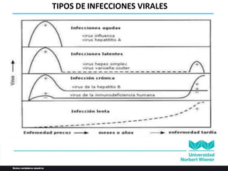 TIPOS DE INFECCIONES VIRALES
 