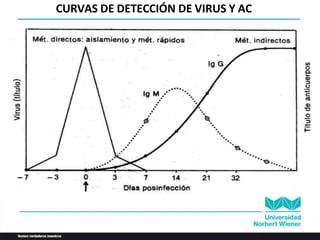CURVAS DE DETECCIÓN DE VIRUS Y AC
 