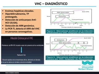 Que Detecta Vhc TEORIA N°5 NOXAS y respuestas..(1).pptx